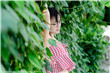 周记是什么意思