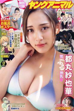 《蝴蝶:成人世界》